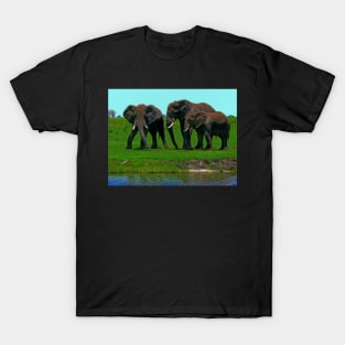 Elephants, Chobe National Park, Botswana T-Shirt